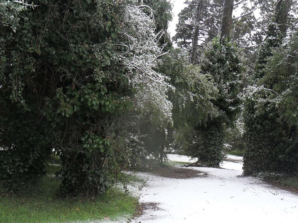 Htl La Malinka Hotel San Carlos de Bariloche Bagian luar foto